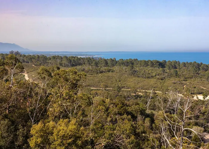 Kalinas Corse 4 Etoiles * Sari-Solenzara